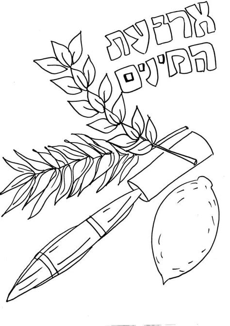 Sukkot Coloring Pages Printable | Images and Photos finder