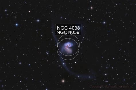 NGC 4038/4039 aka The Antennae Galaxies (sky-watcher (johny)) - AstroBin