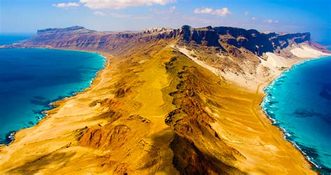 The World's Weirdest Island: 25 Strange Pics Of Socotra Island ...