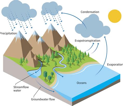 Water Cycle Model, Water Cycle For Kids, Water Cycle Project, Weather ...