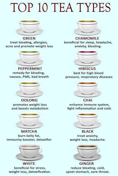 Top 10 Tea Types - Common Sense Evaluation