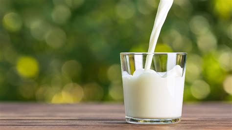 Health benefits of milk: What is the difference between hot and cold ...