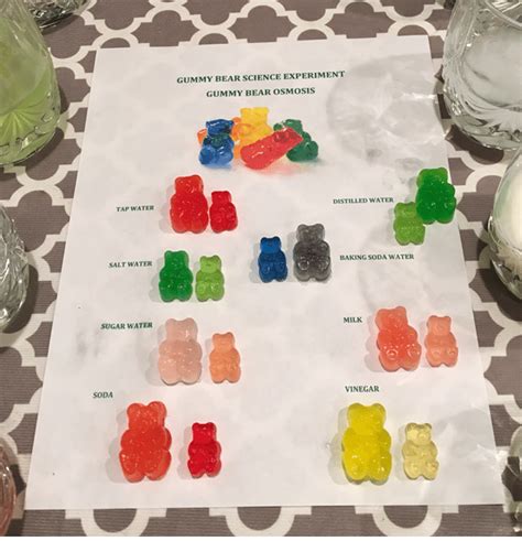 Gummy Bear Osmosis Science Experiment - How to Homeschool Gummy Bear ...