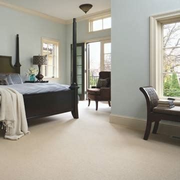 Carpet Care and Maintenance Tips