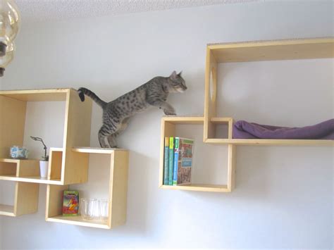 Modern Cat Tree Alternatives For Up-To-Date Pets