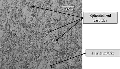 Martensitic Structure Steel Bearing