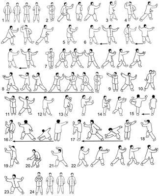 Frontiers | Thoracolumbar Rotation During Tai Chi Movements—A Biomechanical Analysis of the ...