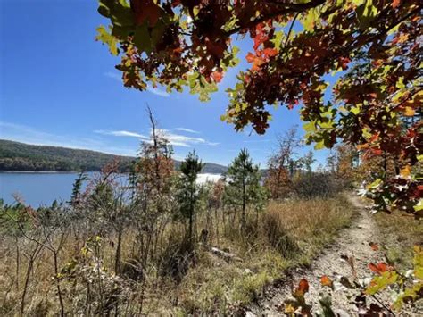 Best Hikes and Trails in Lake Ouachita State Park | AllTrails