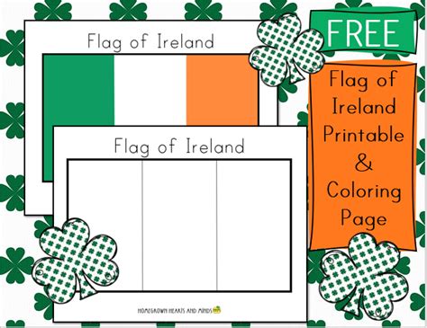 FREE Flag of Ireland Printable and Coloring Page