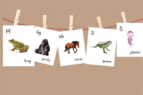 Alphabet Animal Photo Flashcards ABC Cards Printable - Etsy