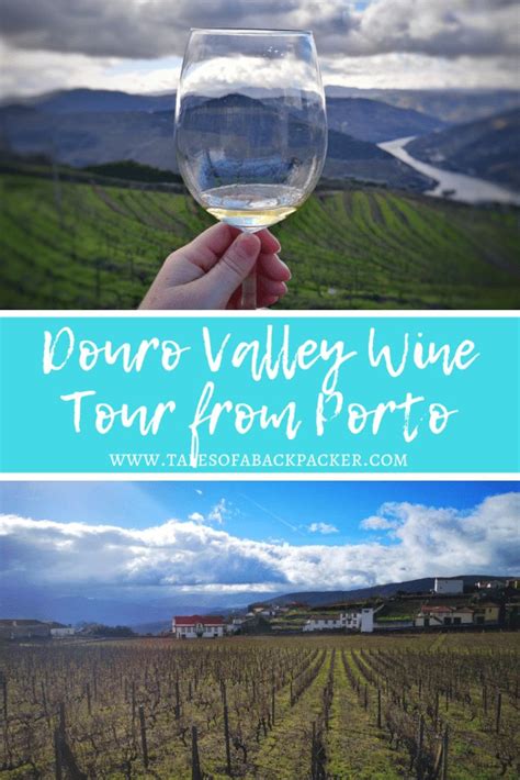 A Douro Valley Wine Tour & River Cruise from Porto | Wine tour, River cruises, Douro valley