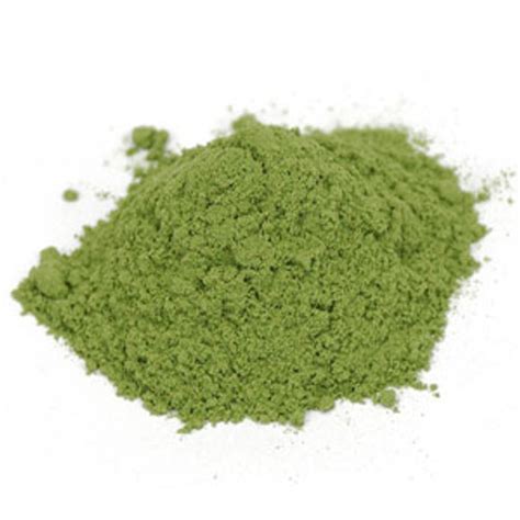 Gymnema Sylvestre Leaf Powder | Bulk Apothecary