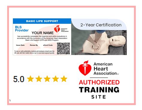 American Heart Association BLS Renewal Course : Basic Life Support Program