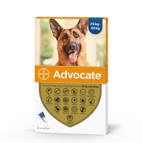 Advocate For Dogs | Vetscriptions