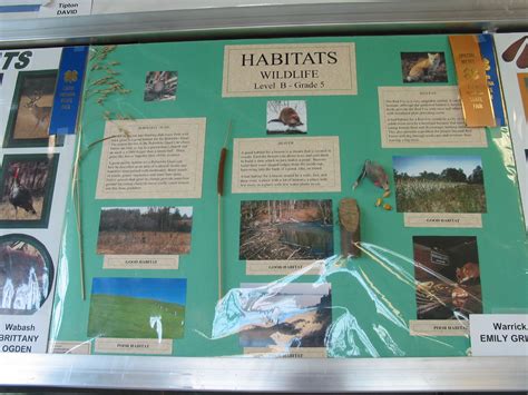 4-H Wildlife Project Habitat Posters