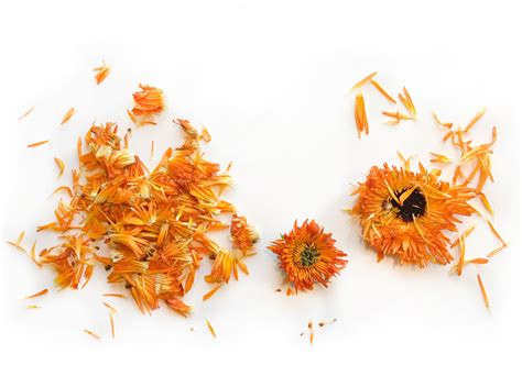 Calendula | Egyptian Herbs | High Quality | Egypt e-market