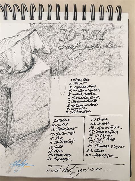 30-Day Draw-What-You-See Drawing Challenge - Alvalyn Creative Illustration