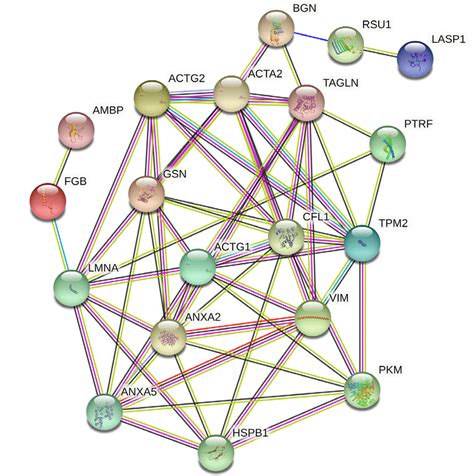 -Protein-protein interaction maps of the differentially expressed... | Download Scientific Diagram