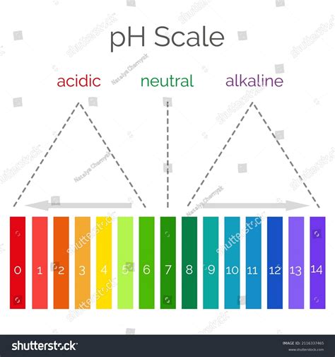 Horizontal Ph Scale Measuring Acid Alkaline Stock Vector (Royalty Free ...