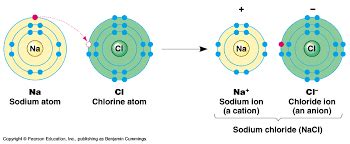 write the electronic configuration of sodium and chlorine show the formation of sodium chloride ...