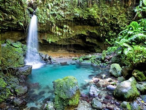 Jungle Bay Dominica | Homepage | Dominica Luxury Resorts