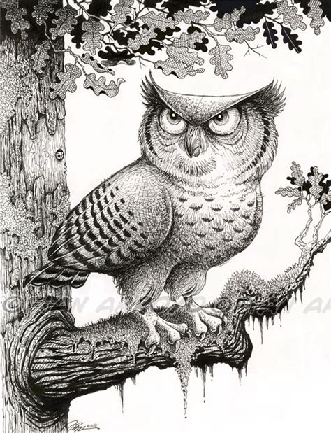 OWL Art PRINT the Spirit of Wisdom Pen and Ink Drawing SIGNED - Etsy