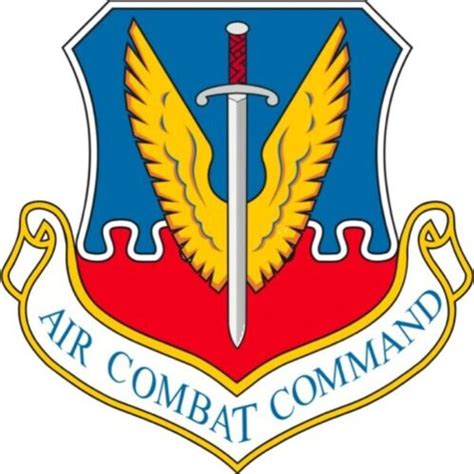 Air Combat Command Sticker - Etsy