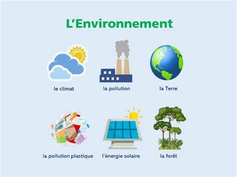 French Environment Vocabulary Poster | Teaching Resources