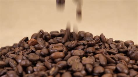 Coffee beans falling at slow motion 15505400 Stock Video at Vecteezy