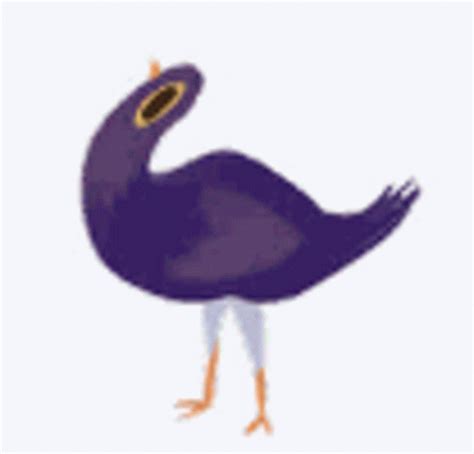 Bird Pigeon GIF - Bird Pigeon Carrier - Discover & Share GIFs