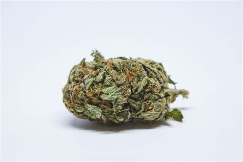 Berry White Strain of Marijuana | Weed | Cannabis | Herb