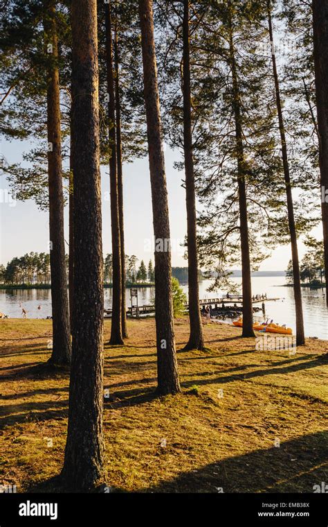 Golden hour, shore of Lake Siljan, Tallberg, Dalarna county, Sweden ...