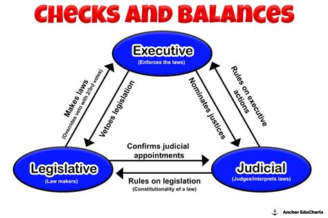 Checks And Balances Chart