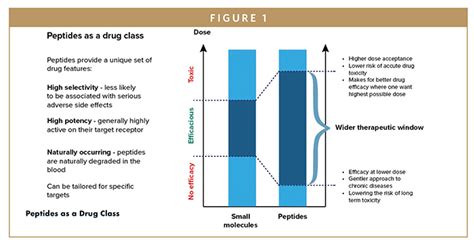 THERAPEUTIC PEPTIDES - Continuous Manufacturing of Peptides Could Speed ...