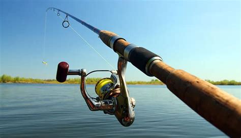 10 Best Jigging Rods In 2022 | Reviewed by Fishing Enthusiasts - Globo Surf