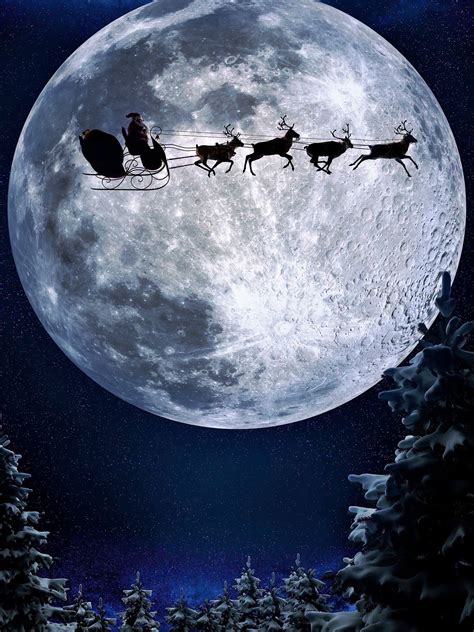 Sleigh Ride / 9264 | Christmas backdrop, Christmas backdrops, Christmas scenes