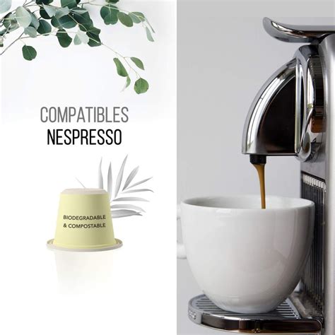 8 Best Compostable Coffee Pods | Beeco