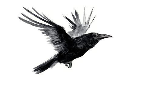 Flying Raven Tribal Art, flying BIRd Painting by Suren Nersisyan - Pixels