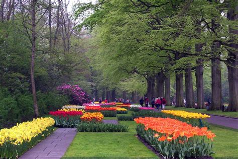 Keukenhof Gardens, Our Visit To Holland's World Of Tulips