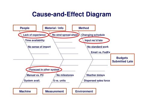 Cause And Effect Diagram Editable Template