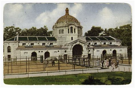 Bronx Zoo Archives - The Bowery Boys: New York City History