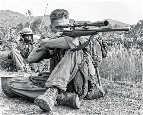 Sniper Rifles Used In Vietnam