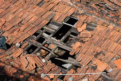 Repair It or Replace It? Decide What to Do With Your Damaged Roof