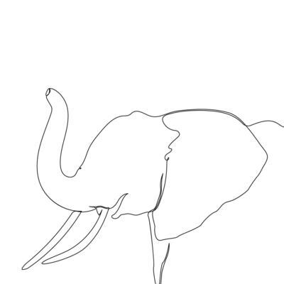 Elephant Tracing Vector Art, Icons, and Graphics for Free Download