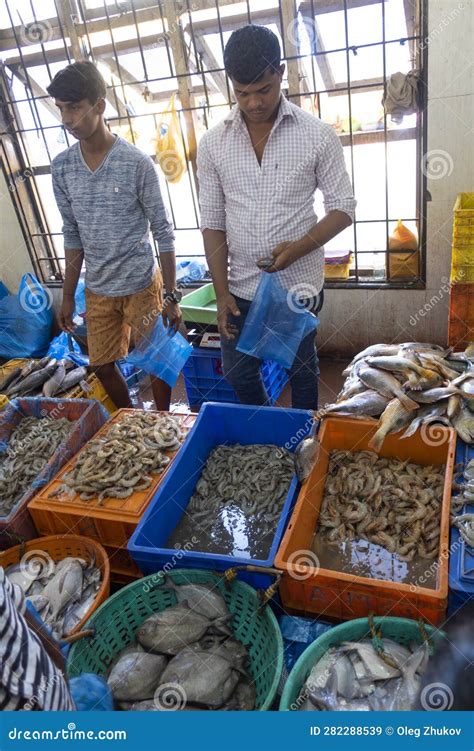 Fish and Other Seafood in the Markets of Goa and Other States of India Editorial Stock Image ...