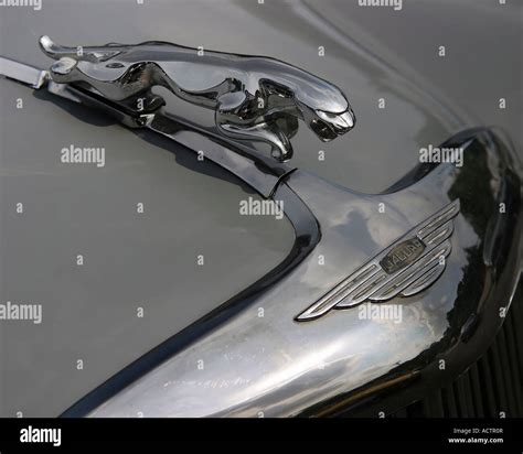 A Jaguar hood ornament Stock Photo - Alamy