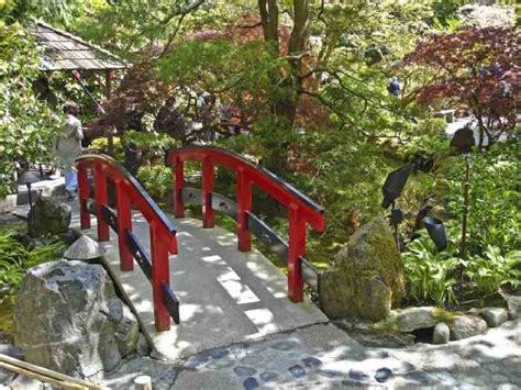 Transform Your Backyard with These Japanese Garden Ideas