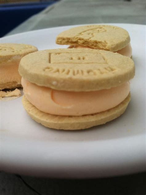 TruMoo Orange Ice Cream Sandwich Cookies | Orange ice cream, Ice cream sandwich, Sandwich cookies