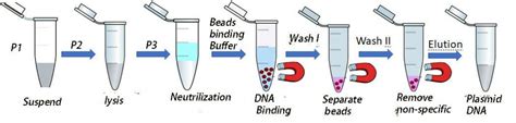 Plasmid DNA Extraction Kits - GeneNano