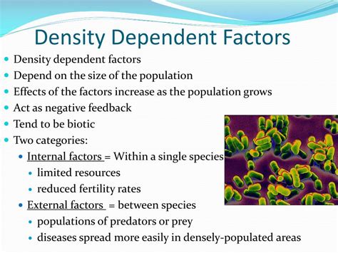 What Are Density-independent Factors Examples